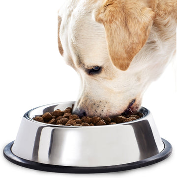 No-Spill Stainless Steel Pet Bowl