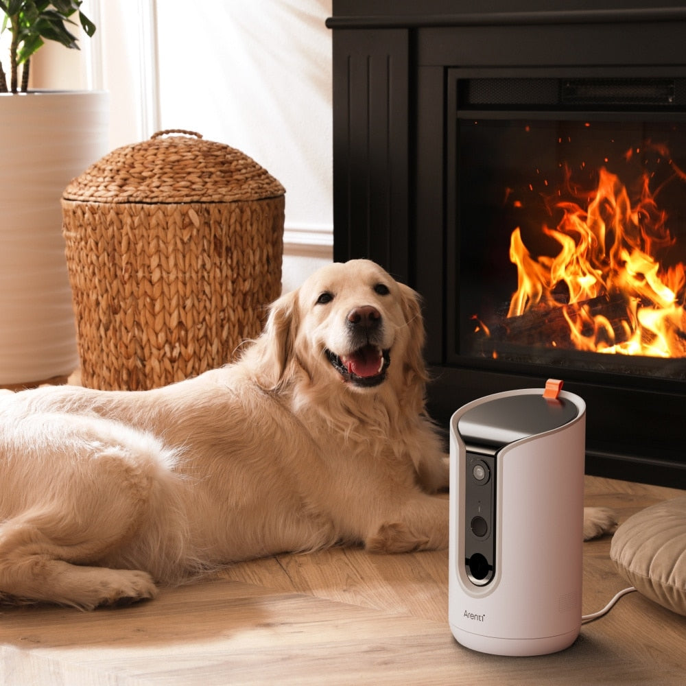 360° Smart Pet Camera with Treat Dispenser