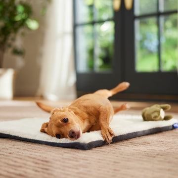 Self-Warming Reversible Pet Mat