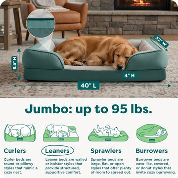 Orthopedic Sofa Pet Bed