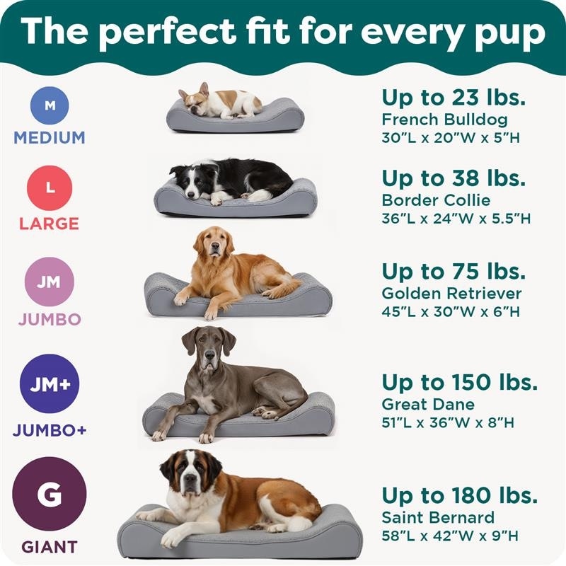 Ultra Plush Orthopedic Lounger Pet Bed
