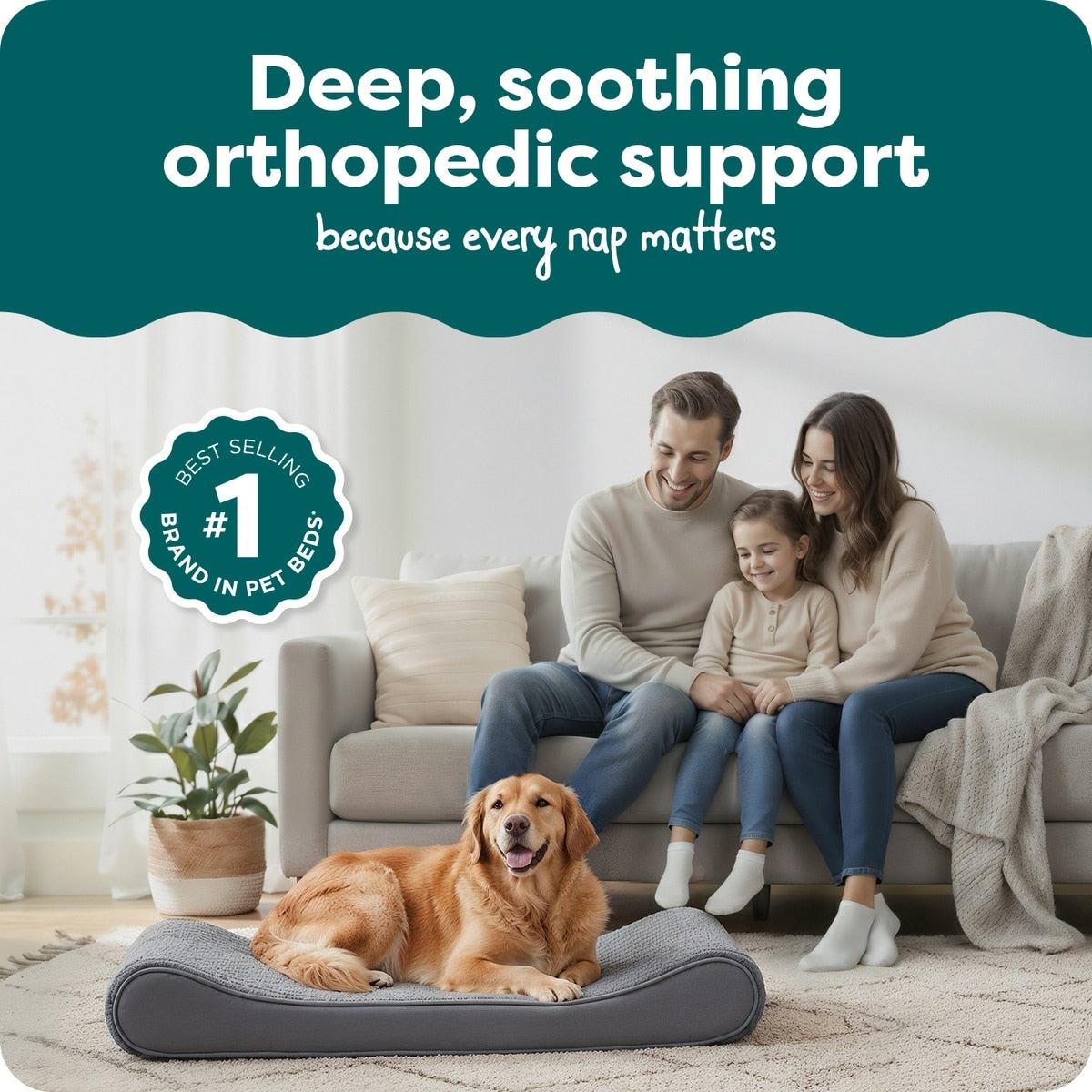 Ultra Plush Orthopedic Lounger Pet Bed