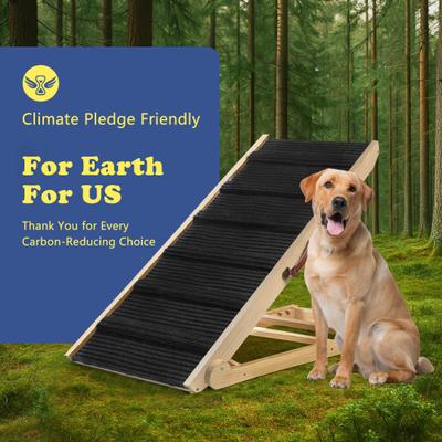 Foldable Adjustable Pet Ramp