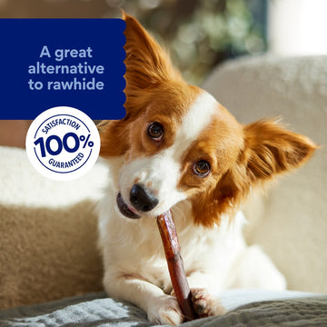 Premium 6-Inch Natural Beef Bully Sticks for Dogs