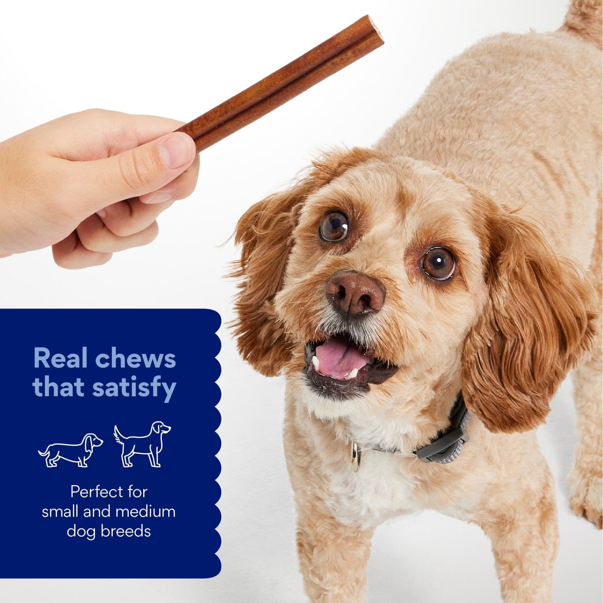 Premium 6-Inch Natural Beef Bully Sticks for Dogs
