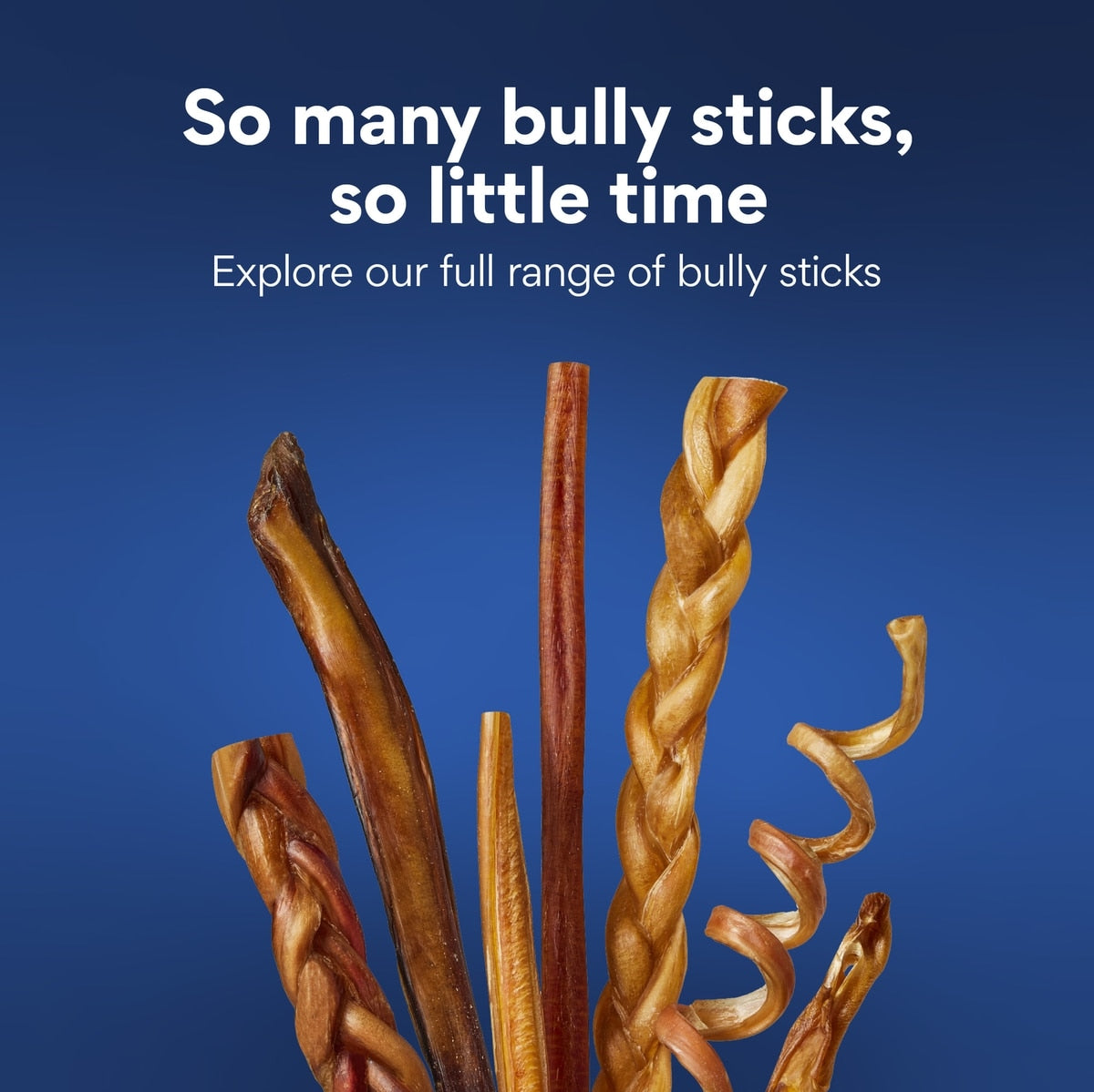 Premium 6-Inch Natural Beef Bully Sticks for Dogs