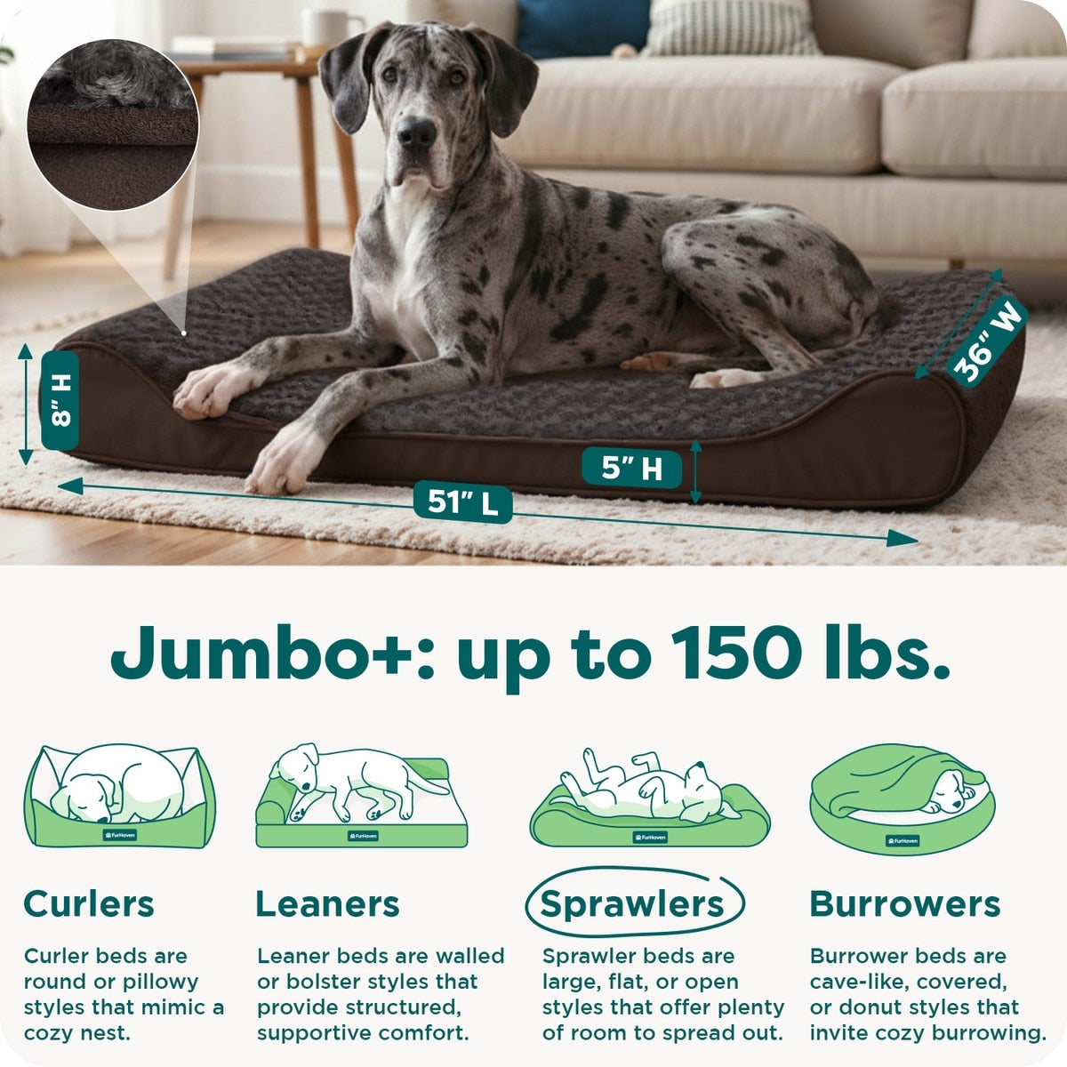 Ultra Plush Orthopedic Lounger Pet Bed