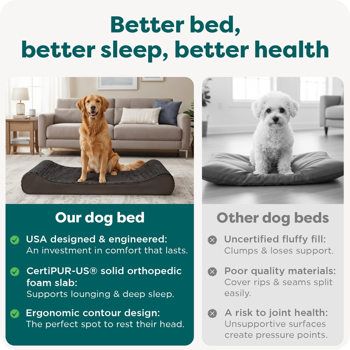 Ultra Plush Orthopedic Lounger Pet Bed