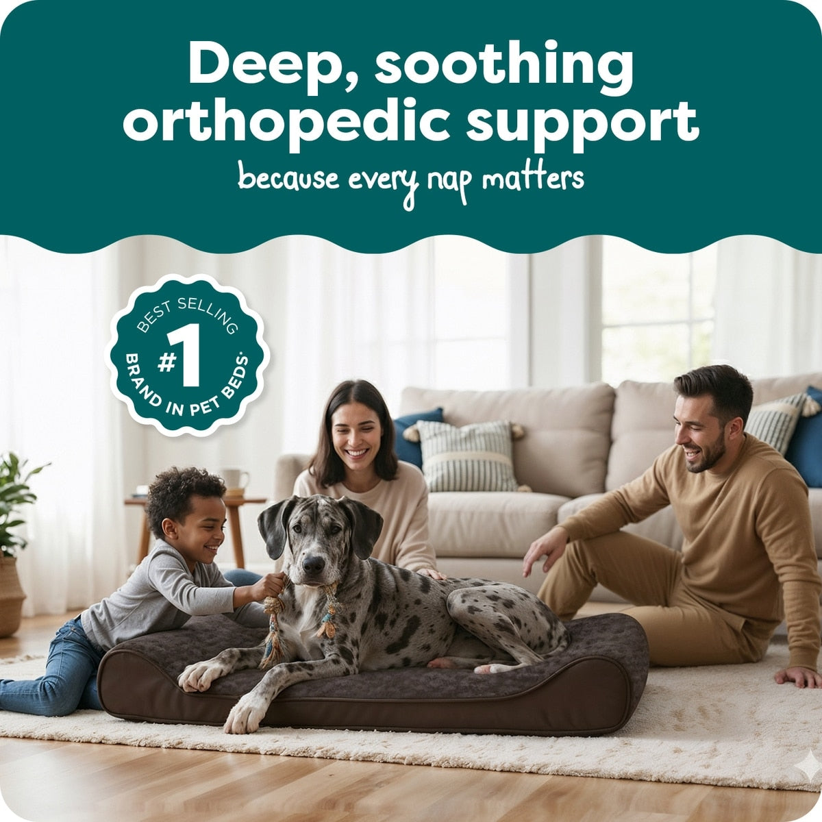 Ultra Plush Orthopedic Lounger Pet Bed