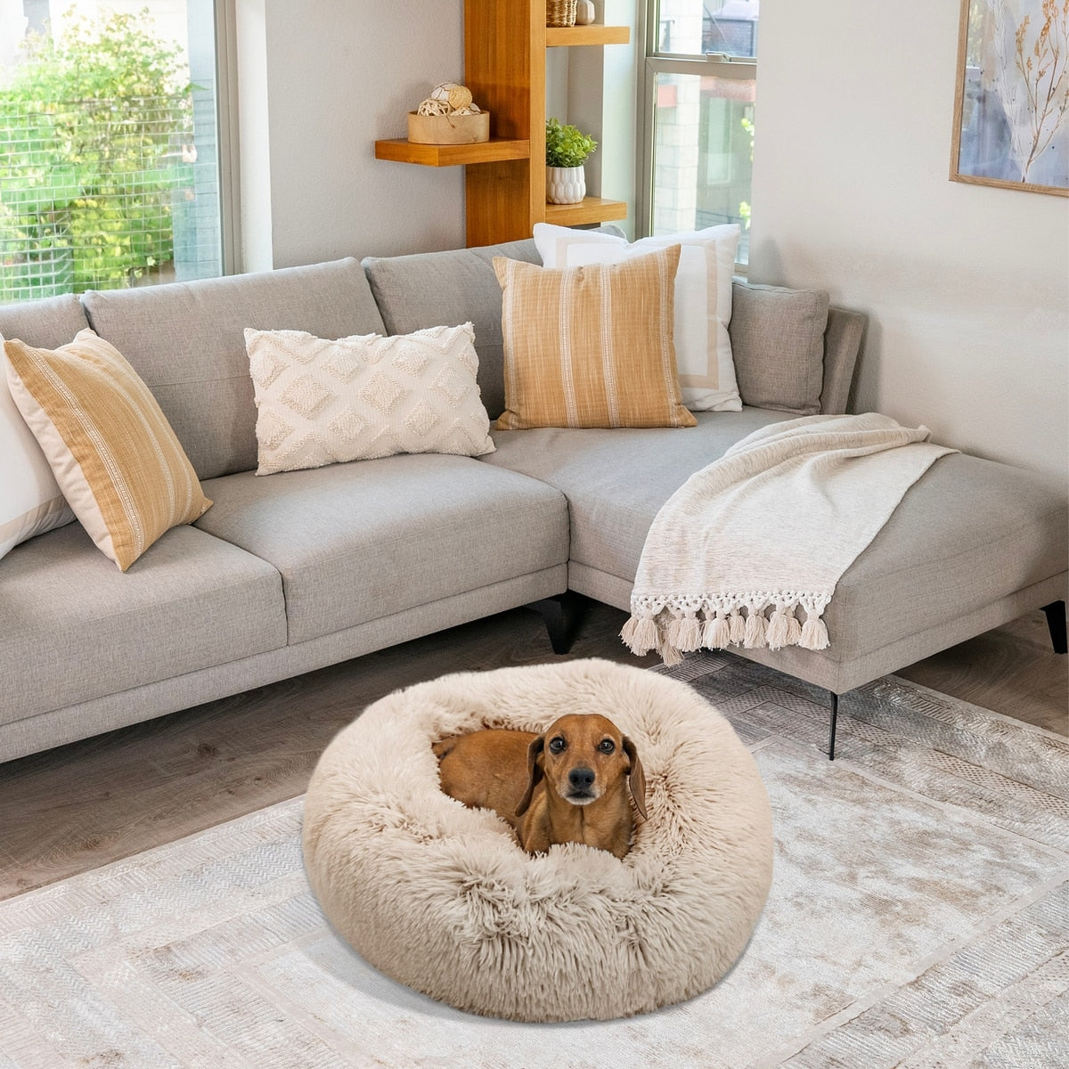 Calming Donut Pet Bed