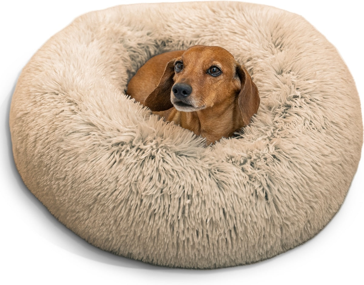 Calming Donut Pet Bed