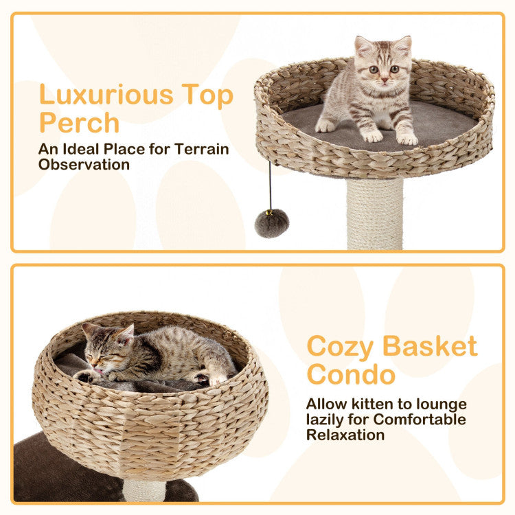 Modern Rattan Cat Tree with Cozy Napping Perch – 41"
