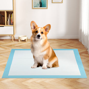 150-Pack Super Absorbent Pet Training Pads
