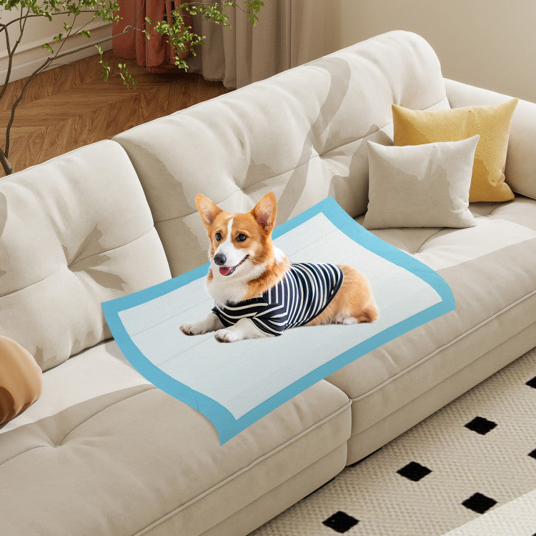 150-Pack Super Absorbent Pet Training Pads