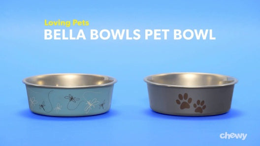 Non-Skid Stainless Steel Pet Bowl