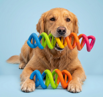 Pet Dog Toy – Small