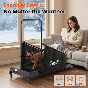 Smart Indoor Dog Treadmill
