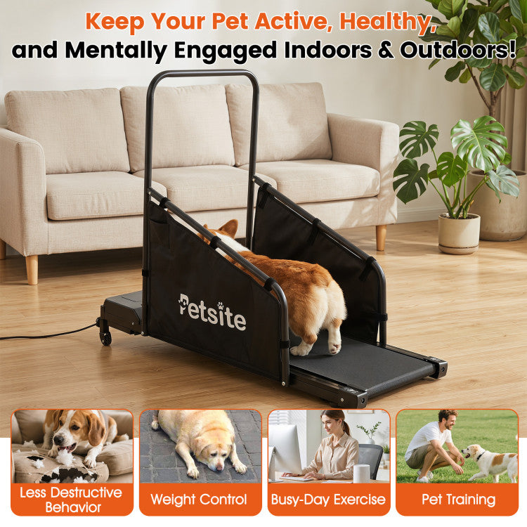 Smart Indoor Dog Treadmill