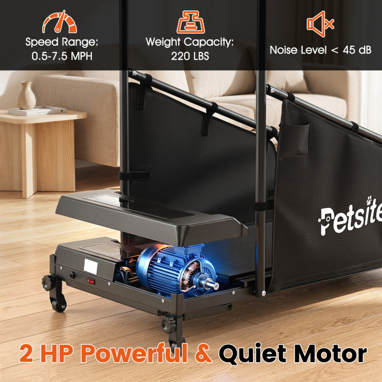 Smart Indoor Dog Treadmill