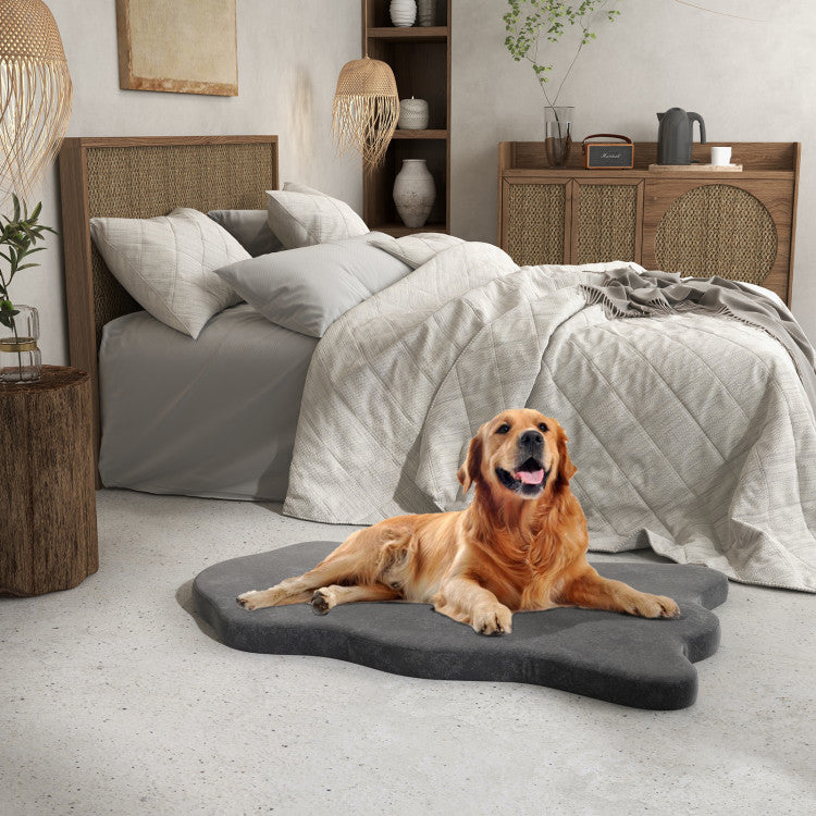 Orthopedic Memory Foam Dog Bed