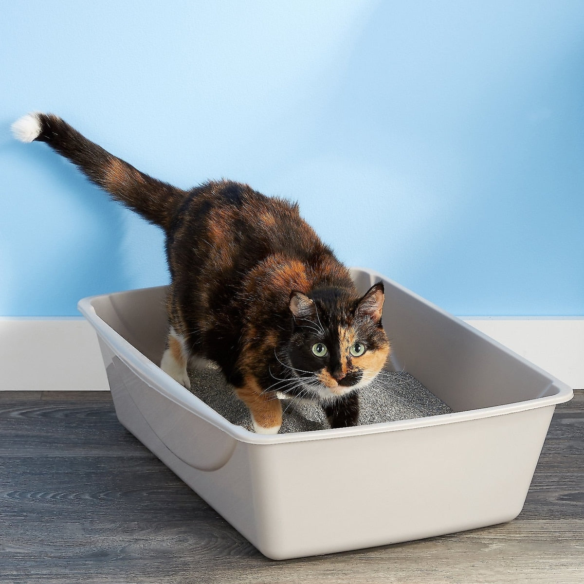 Open Cat Litter Pan
