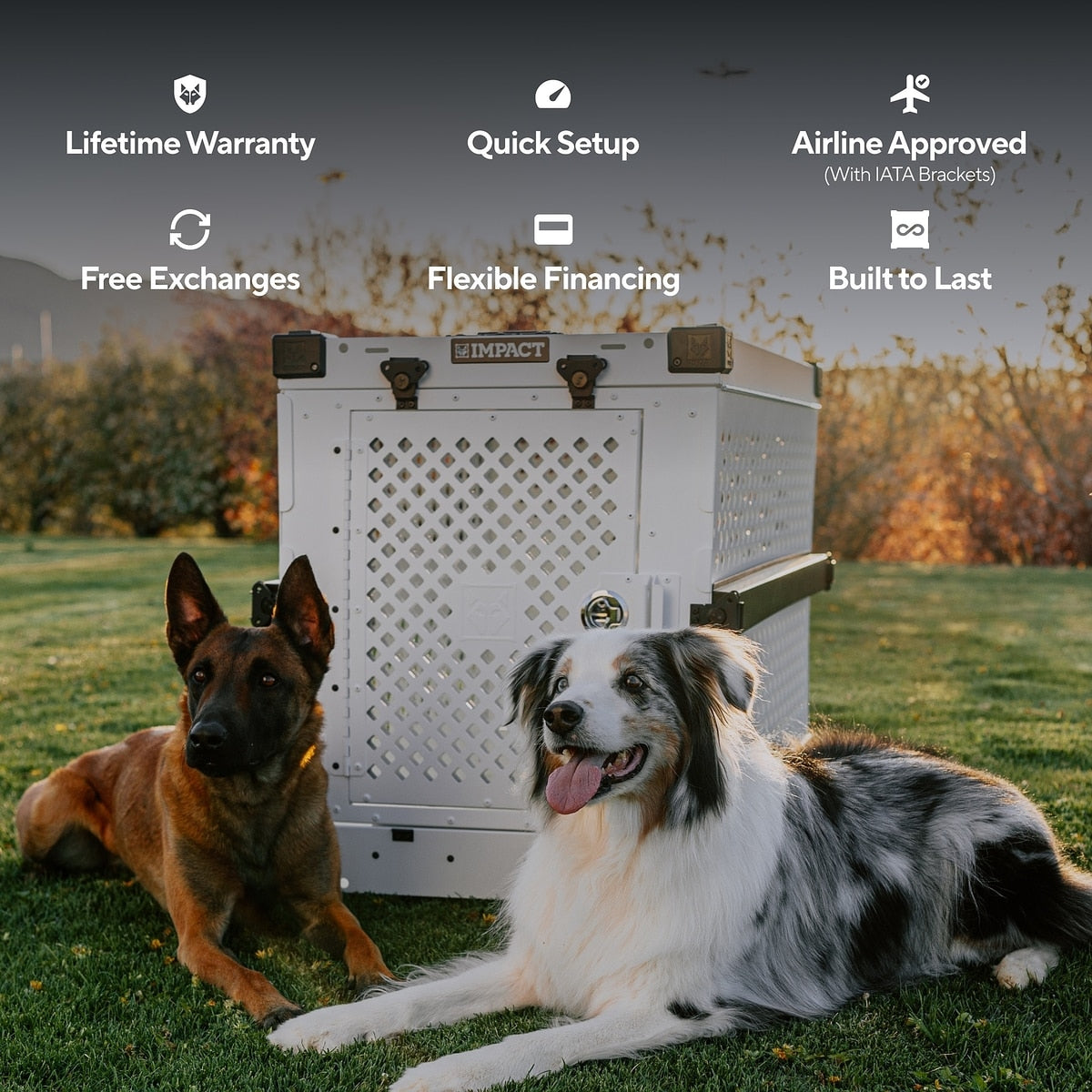 Heavy-Duty Collapsible Aluminum Dog Crate