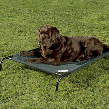 Elevated Cooling Dog Bed