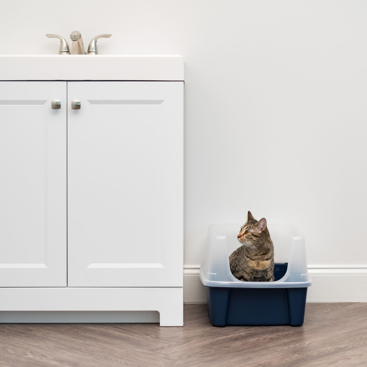 High-Sided Open Cat Litter Box