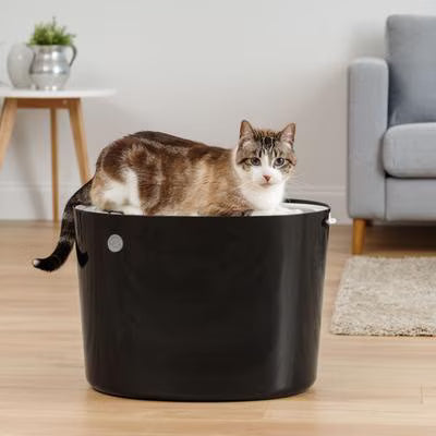 Top Entry Cat Litter Box