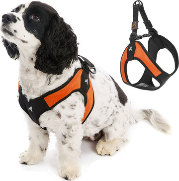 Escape-Proof Step-In Dog Harness