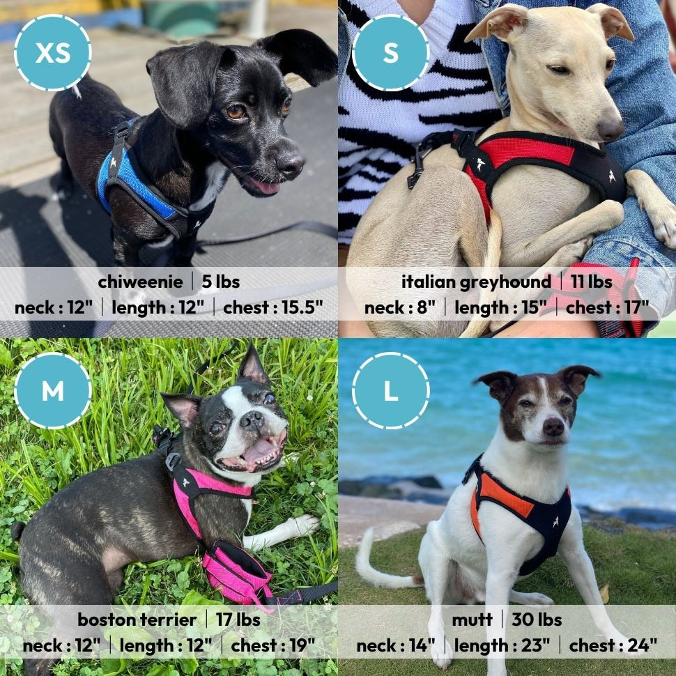 Escape-Proof Step-In Dog Harness