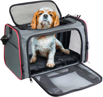 Airline-Approved Soft Pet Carrier