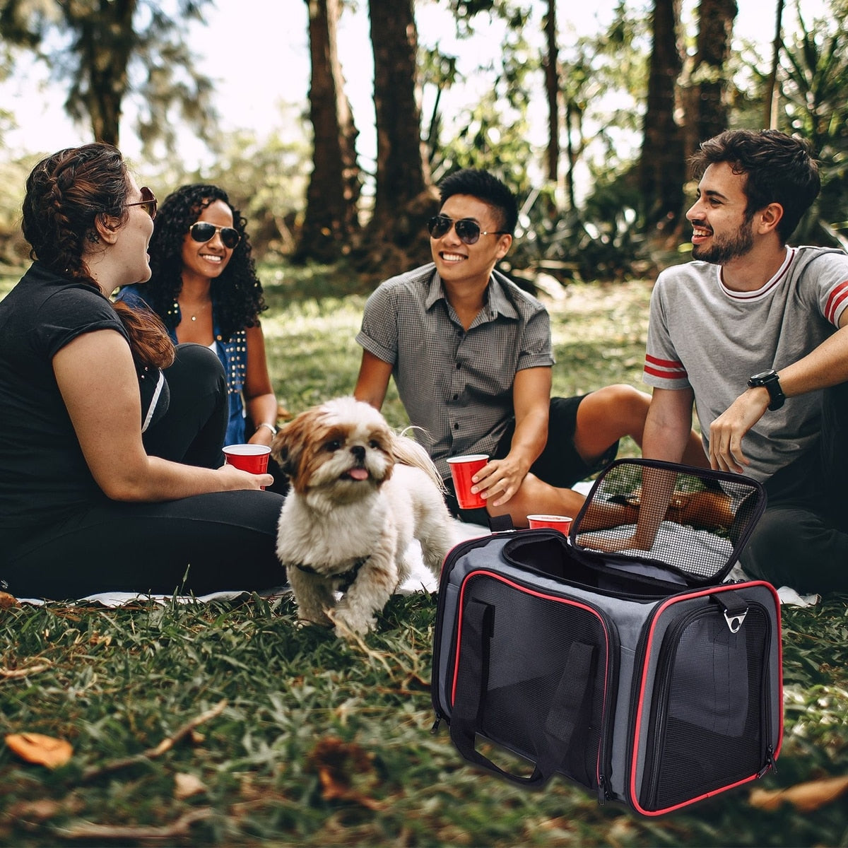 Airline-Approved Soft Pet Carrier