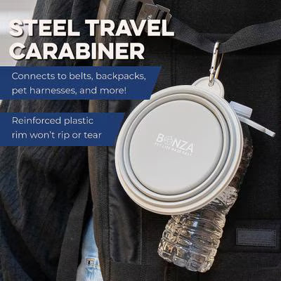 Collapsible Silicone Travel Pet Bowl