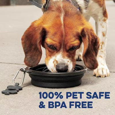 Collapsible Silicone Travel Pet Bowl