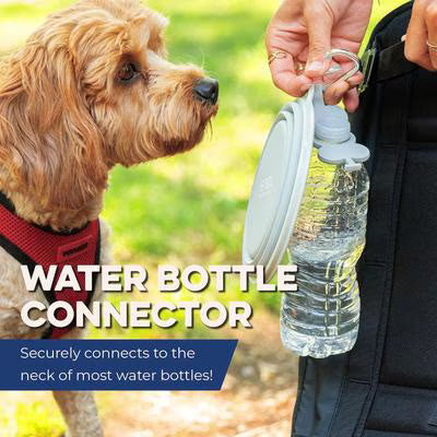 Collapsible Silicone Travel Pet Bowl