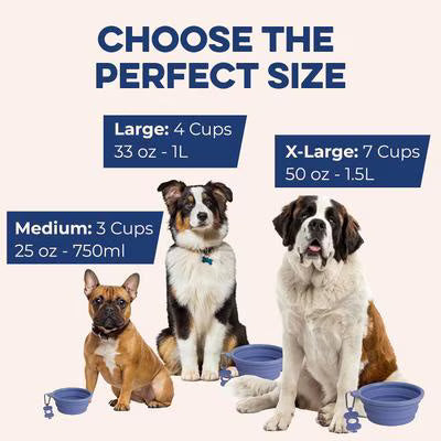 Collapsible Silicone Travel Pet Bowl