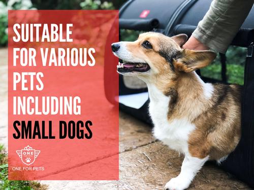 Portable 2-in-1 Double Pet Kennel