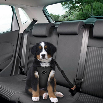 Adjustable Dog Car Seat Belt (2-Pack)