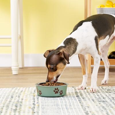 Non-Skid Stainless Steel Pet Bowl