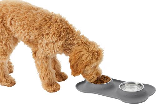 Double Stainless Steel Pet Bowl with Silicone Mat