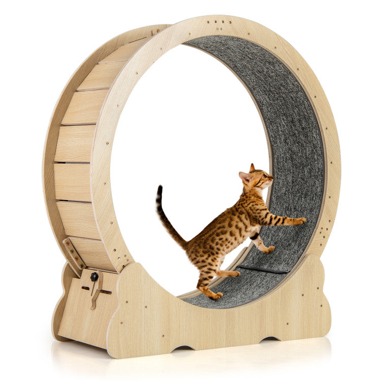 40-Inch Indoor Cat Exercise Wheel