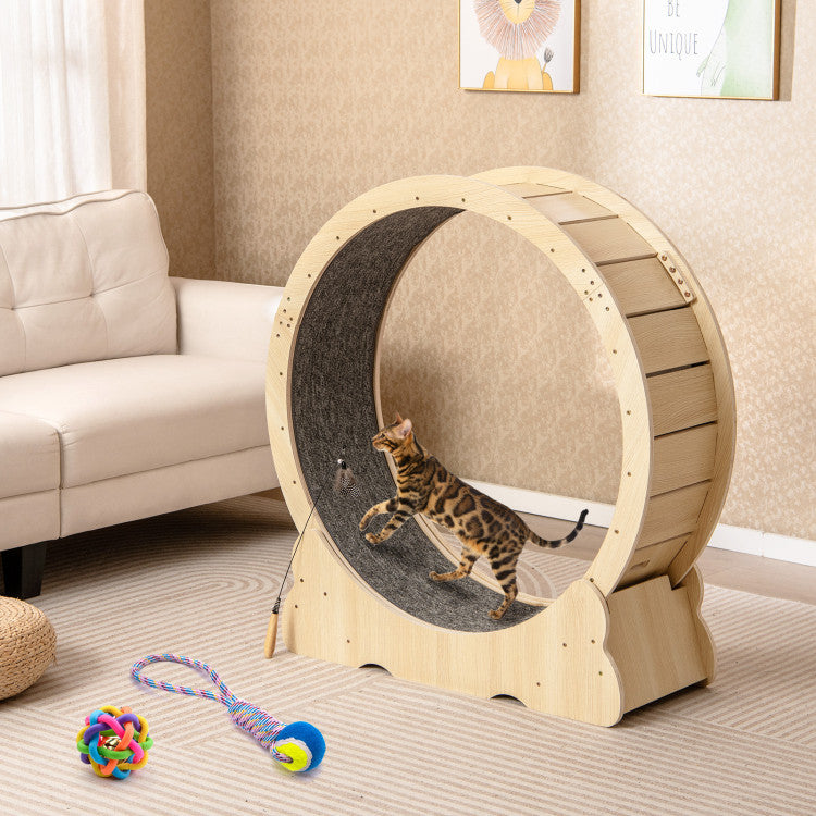 40-Inch Indoor Cat Exercise Wheel